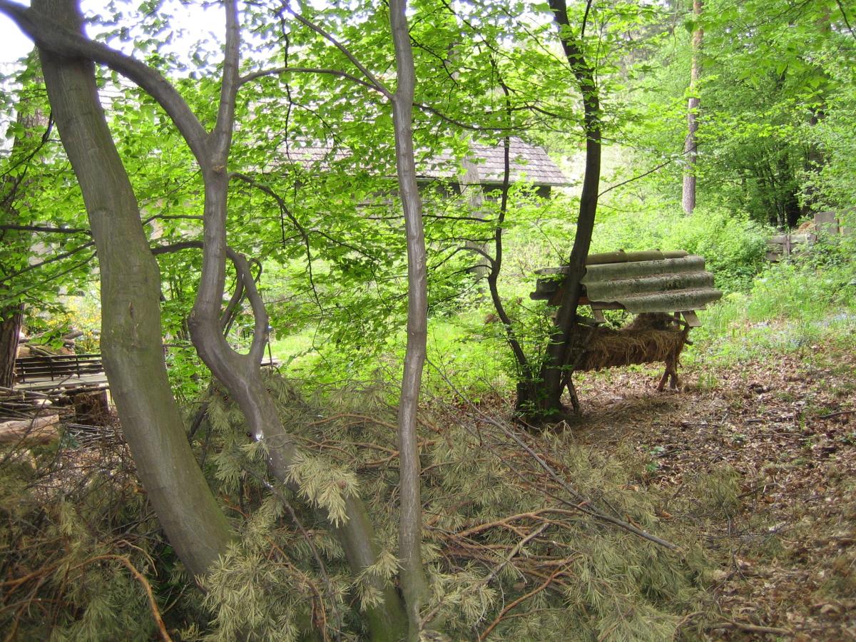 2007/04chabic/1/IMG_1922.JPG