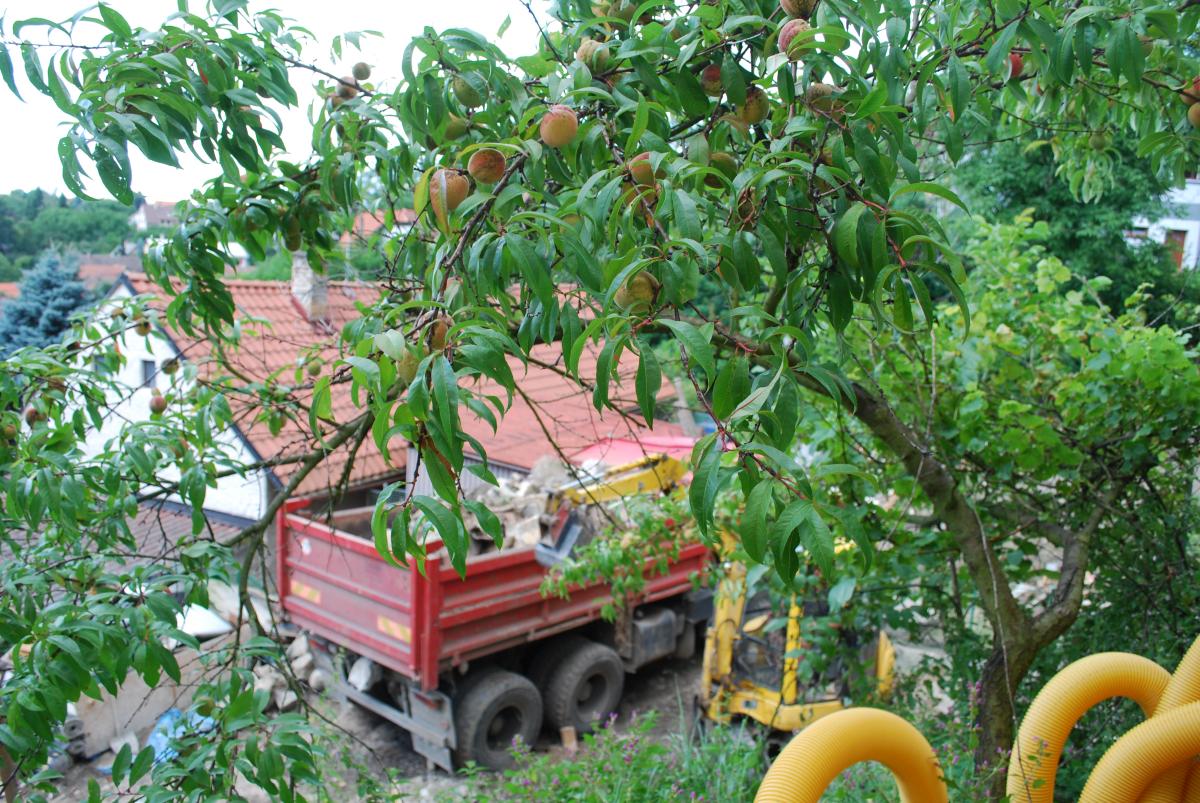 2012/08garaz/1/DSC_0072.JPG