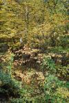 foto 2012/10schody/1/DSC_0326.JPG