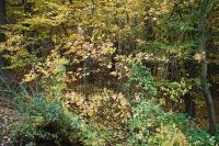 foto 2012/10schody/1/DSC_0327.JPG