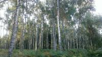 foto 2014/07tisa/1/IMAG0146.jpg
