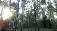 foto 2014/07tisa/1/IMAG0149.jpg