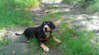 foto 2014/07tisa/1/IMAG0157.jpg