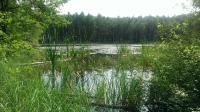 foto 2014/07tisa/1/IMAG0210.jpg