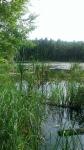foto 2014/07tisa/1/IMAG0211.jpg