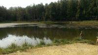 foto 2014/07tisa/1/IMAG0212.jpg
