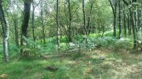 foto 2014/07tisa/1/IMAG0225.jpg