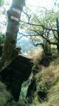foto 2014/07tisa/1/IMAG0234.jpg