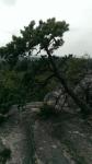 foto 2014/07tisa/1/IMAG0266.jpg