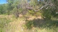 foto 2015/07chorvatsko/10/WP_20150802_16_11_01_Pro.jpg
