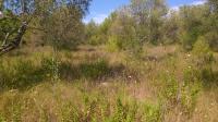foto 2015/07chorvatsko/10/WP_20150802_16_11_52_Pro.jpg