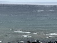 foto 41