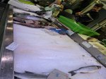 foto 51