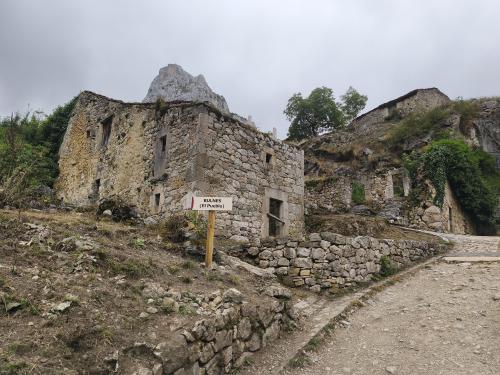 main trip foto