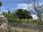 foto 44