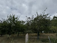 foto 83
