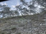 foto 101