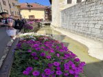 foto 47