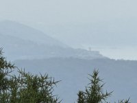 foto 45